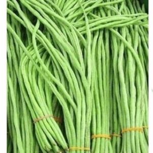 YARDLONG BEANS