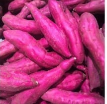 Sweet Potato