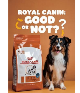 Royal canin dog food